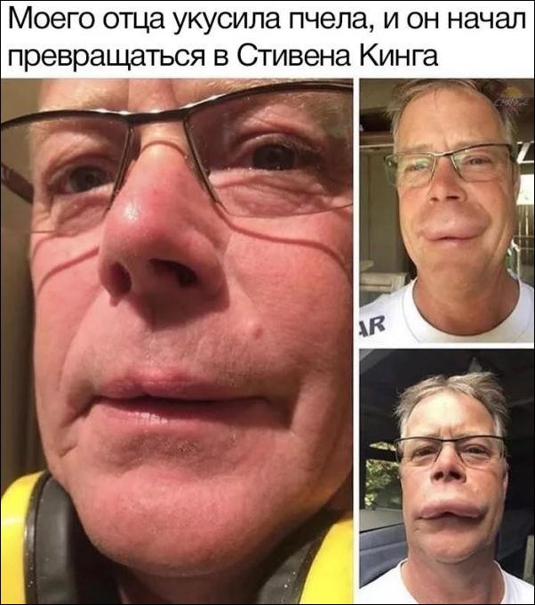 Фотоподборка вторника (79 фото) 670223a485c63.jpeg