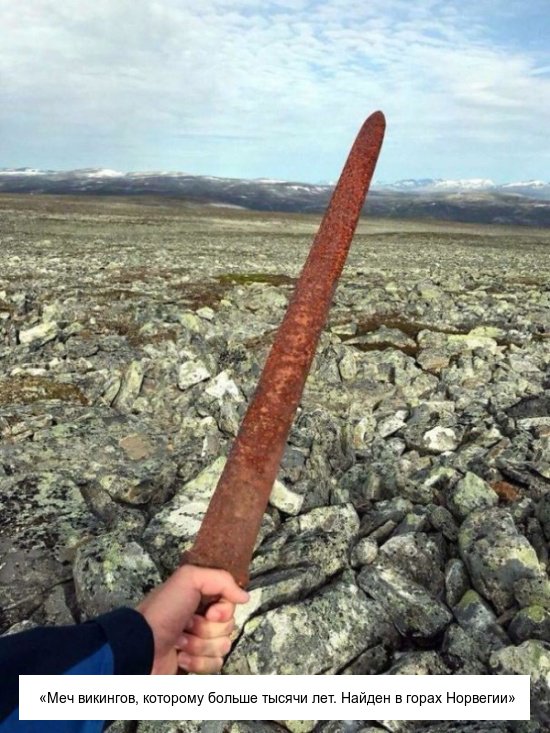 Интересные находки в неожиданных местах (16 фото) 6702234ed200b.jpeg