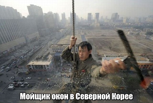 Когда работа не в удовольствие (19 фото) 67021dba1b205.jpeg