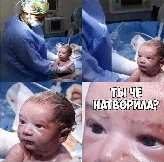 Когда с вами не очень хотят общаться (24 фото) 67021d20c1448.jpeg