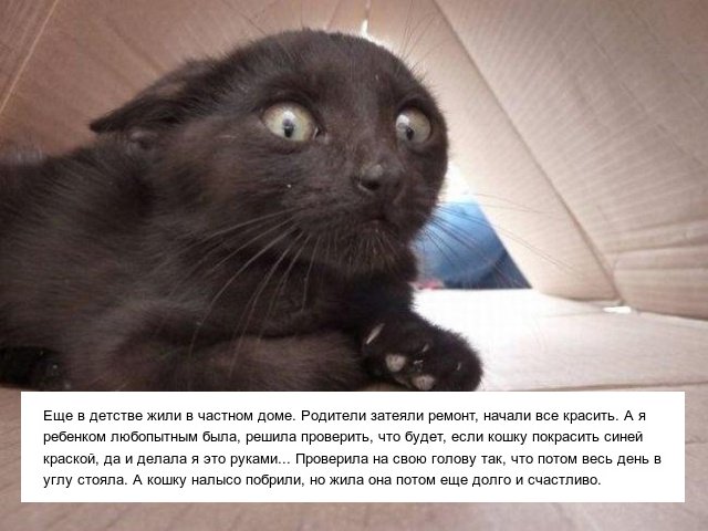Неловкие истории из детства (18 фото) 67022488d435e.jpeg