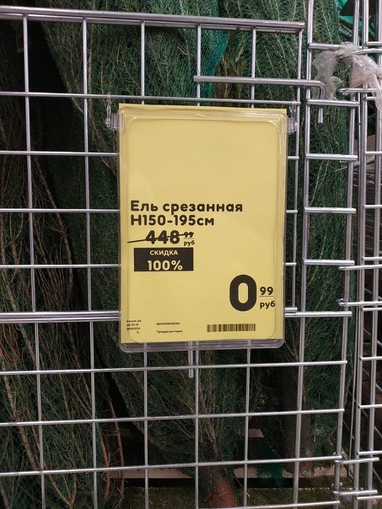 Новогодние деревья с большой скидкой (2 фото) 670218f5d2f58.jpeg