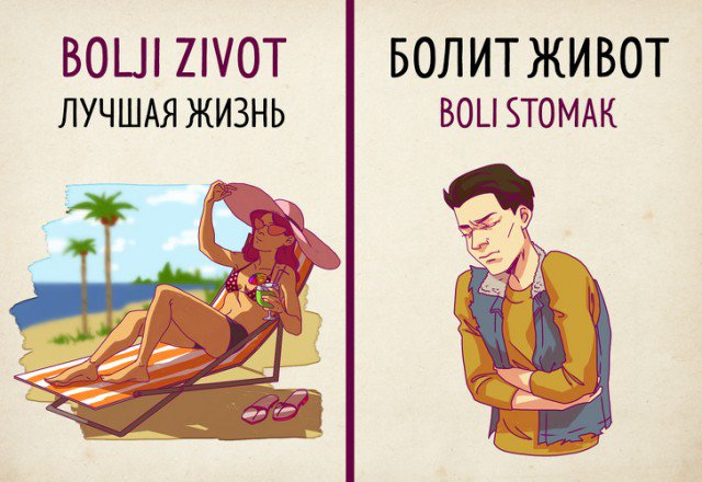 Отличия в значении слов в русском и сербском языках (19 фото) 67021e307bb44.jpeg