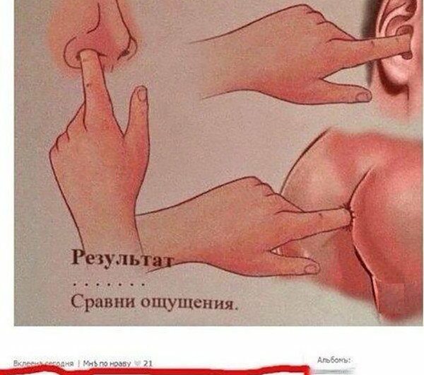 Скриншоты из социальных сетей. Часть 493 (30 фото) 6714bdfaae831.jpeg