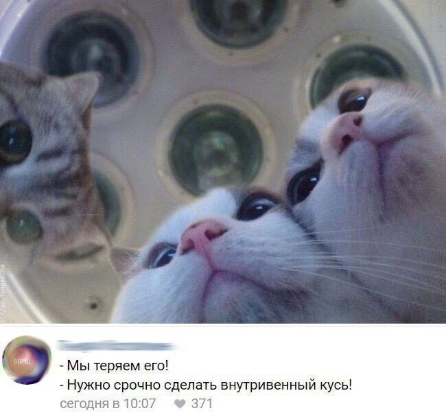 Скриншоты из социальных сетей. Часть 584 (43 фото) 670382148f616.jpeg