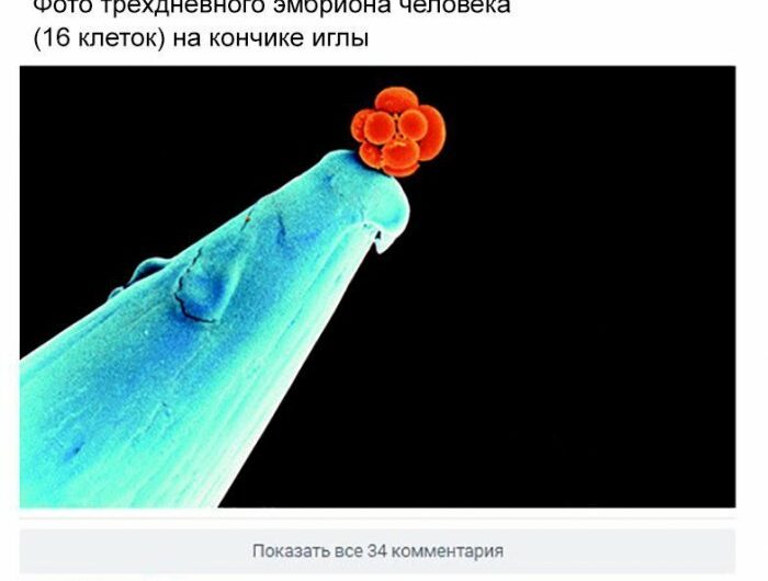 Скриншоты из социальных сетей. Часть 586 (43 фото) 67023ce83d331.jpeg
