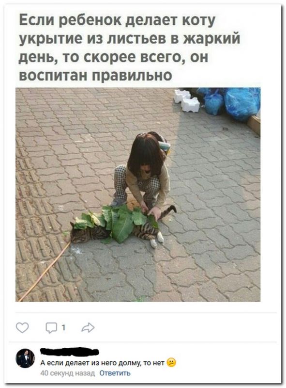 Скриншоты из социальных сетей. Часть 604 (28 фото) 670235c69f2de.jpeg
