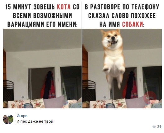 Скриншоты из социальных сетей. Часть 614 (30 фото) 670231324baae.jpeg