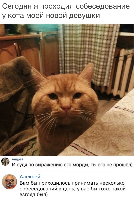 Скриншоты из социальных сетей. Часть 644 (34 фото) 6702272c2ada9.jpeg