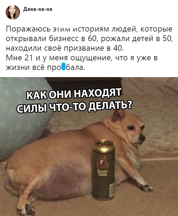 Скриншоты из социальных сетей. Часть 658 (29 фото) 6702230f06a96.jpeg