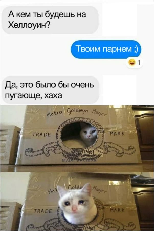 Скриншоты из социальных сетей. Часть 660 (37 фото) 6702229ba9423.jpeg