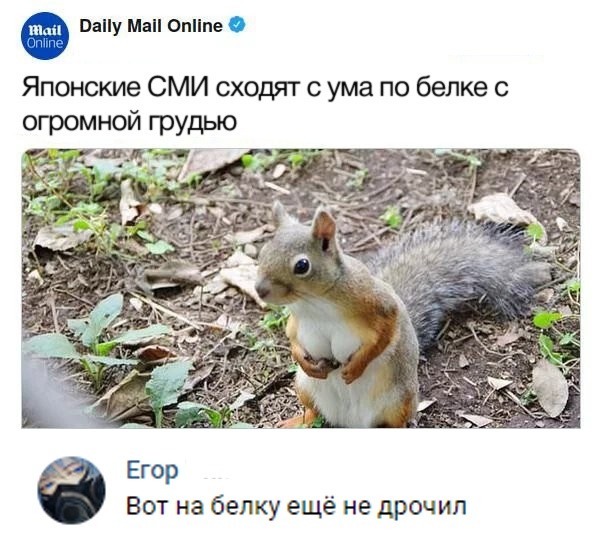 Скриншоты из социальных сетей. Часть 663 (51 фото) 67022221ac60c.jpeg