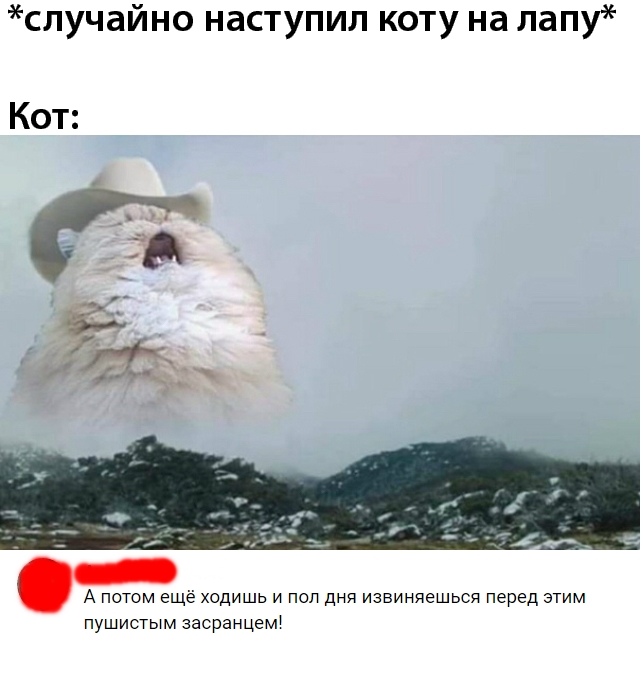 Скриншоты из социальных сетей. Часть 680 (50 фото) 67021ec6369e3.jpeg