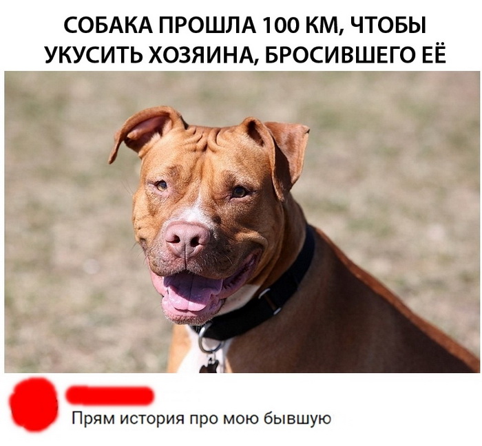Скриншоты из социальных сетей. Часть 681 (50 фото) 67021e8fc7f86.jpeg