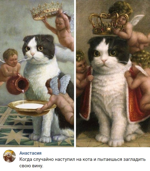 Скриншоты из социальных сетей. Часть 689 (50 фото) 67021d0c0505b.jpeg