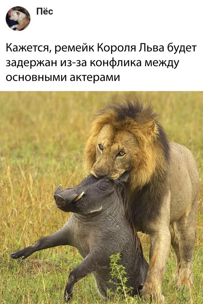 Скриншоты из социальных сетей. Часть 690 (60 фото) 67021cd21b7a3.jpeg