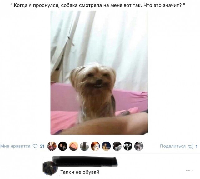 Скриншоты из социальных сетей. Часть 692 (34 фото) 67021c7902f55.jpeg