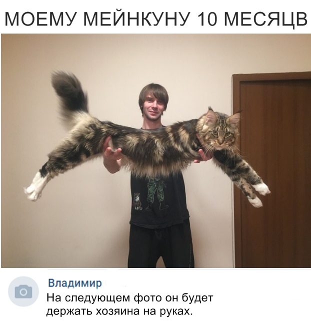 Скриншоты из социальных сетей. Часть 696 (47 фото) 67021bb2770d2.jpeg