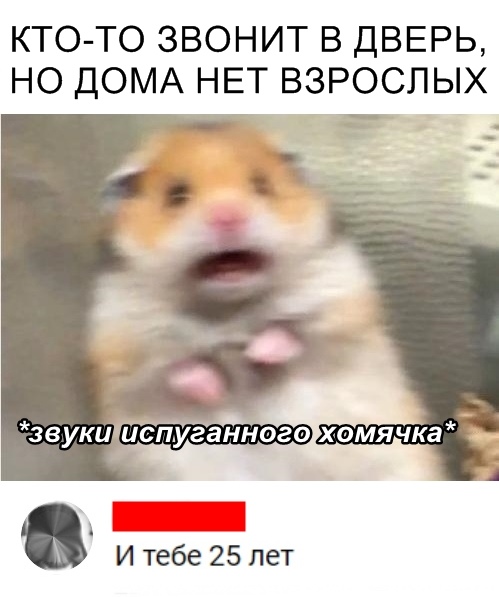 Скриншоты из социальных сетей. Часть 705 (60 фото) 670219d8476c6.jpeg
