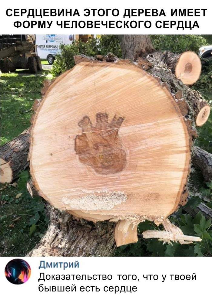 Скриншоты из социальных сетей. Часть 707 (38 фото) 6702197640bb7.jpeg