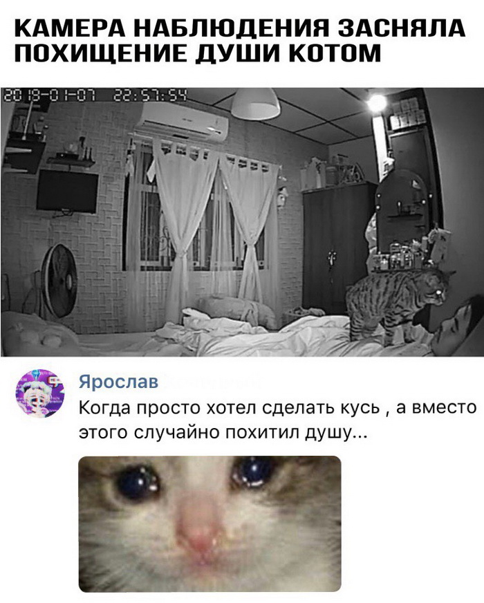 Скриншоты из социальных сетей. Часть 713 (28 фото) 6702188e2da89.jpeg