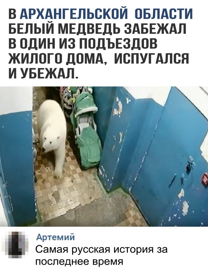 Скриншоты из социальных сетей. Часть 736 (42 фото) 670213e34f1d7.jpeg