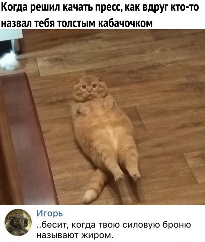 Скриншоты из социальных сетей. Часть 756 (45 фото) 67020fc3994d8.jpeg