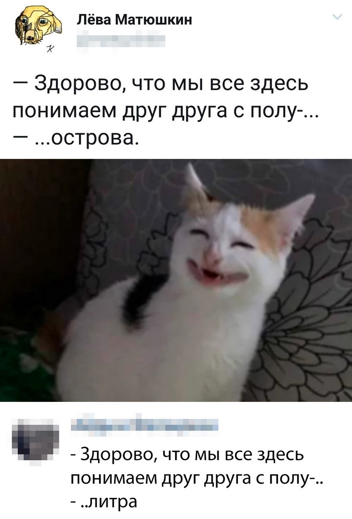 Скриншоты из социальных сетей. Часть 846 (30 фото) 6701ffee001fb.jpeg