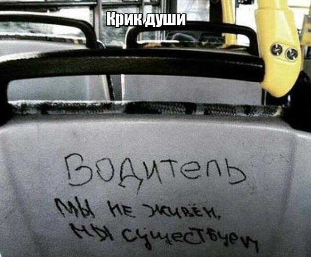 Высказывания уличных философов (17 фото) 670217bc691cc.jpeg