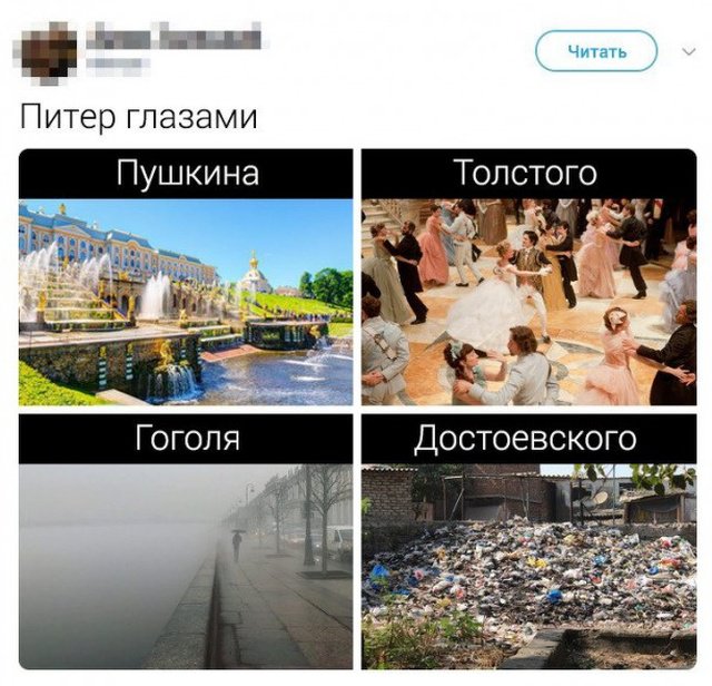 Юмор и шутки на тему литературы (9 фото) 6702179c873a3.jpeg