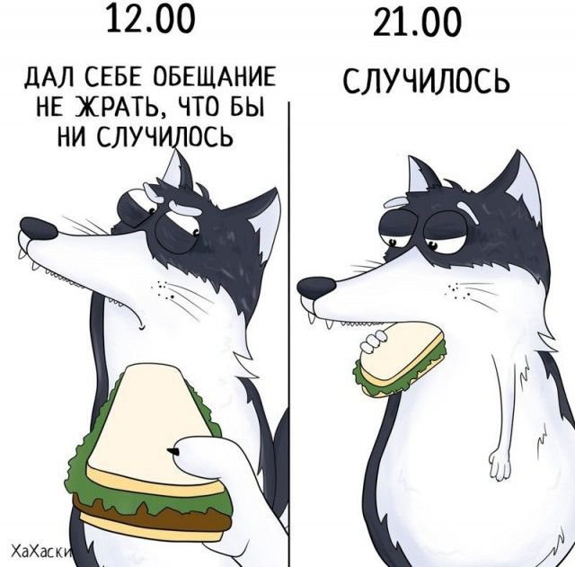 Забавные комиксы с Хаски Карлом (24 фото) 670233089d528.jpeg