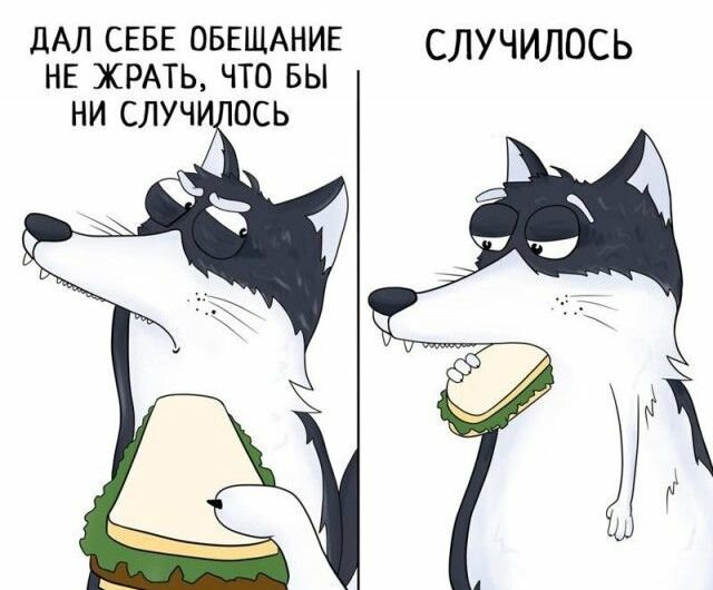 Забавные комиксы с Хаски Карлом (24 фото) 67023308a1753.jpeg