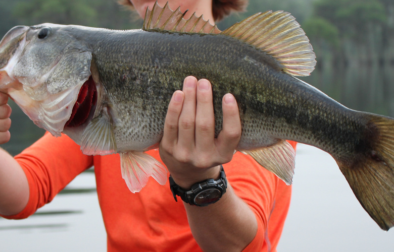 Muzhchina Pobil Rekord S Pomoshhju Lovli Vrednoj I Opasnoj Ryby 4faf8ff