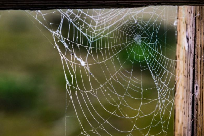 Amerikanka Nashla Na Svoem Cherdake Pisma Iz Proshlogo 1f6b115