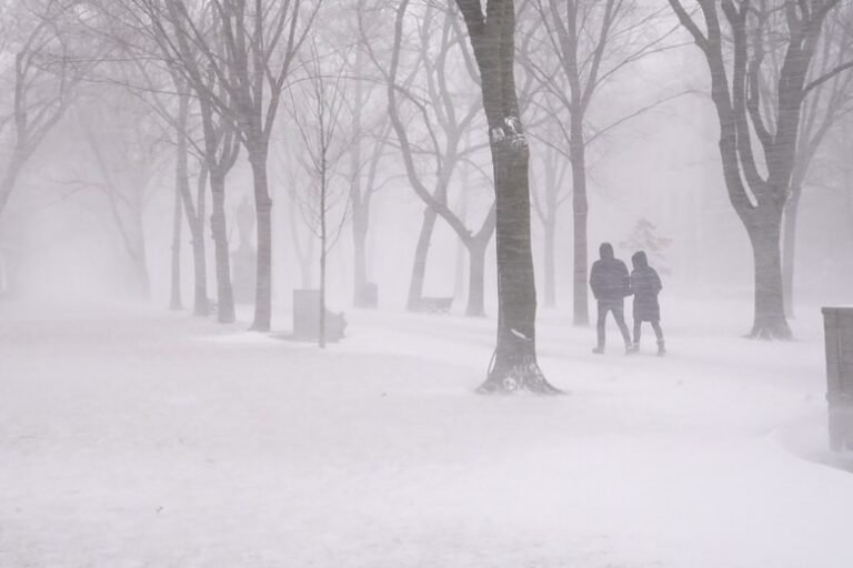 Snezhnaja Burja Ostavila Bez Elektrichestva Bolee Milliona Chelovek 845a244